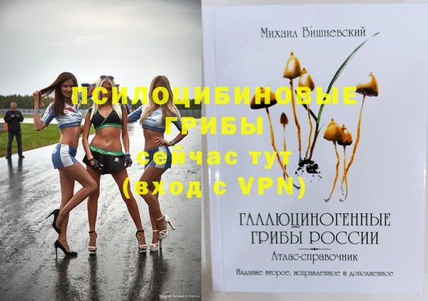 альфа пвп Михайловск